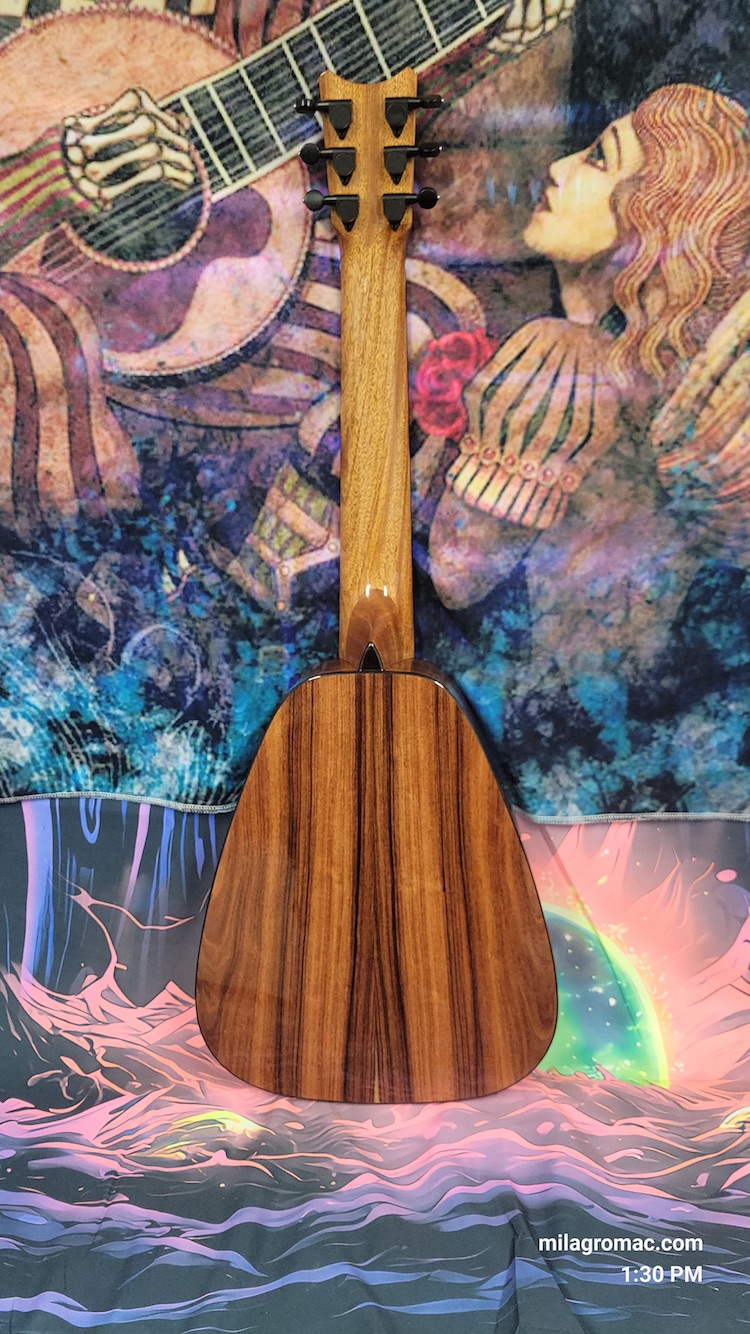 ROMERO CREATIONS VIBRANTE D HO 6-STRING Cedar Top